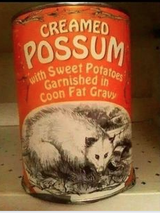 Click image for larger version. 

Name:	1 possum!.jpg 
Views:	4 
Size:	11.5 KB 
ID:	27040