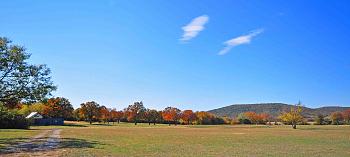 Click image for larger version. 

Name:	Autumn Field.jpg 
Views:	4 
Size:	98.0 KB 
ID:	5263