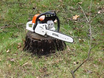 Click image for larger version. 

Name:	NEW CHAIN SAW 4-15-17.jpg 
Views:	3 
Size:	101.4 KB 
ID:	5698