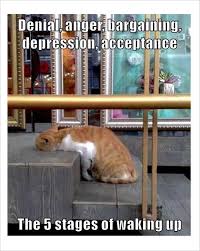 Click image for larger version. 

Name:	5 stages waking up.jpg 
Views:	31 
Size:	11.2 KB 
ID:	9669