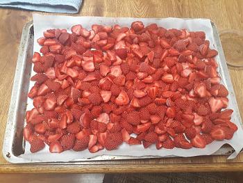 Click image for larger version. 

Name:	strawberry2019.jpg 
Views:	2 
Size:	97.6 KB 
ID:	7401